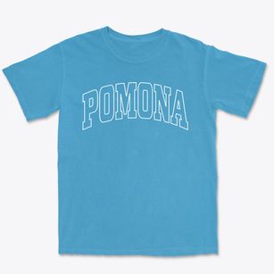 Pomona New York Trendy Block Premium Heavyweight T-shirt