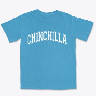 Chinchilla Pennsylvania Varsity Premium Heavyweight T-shirt
