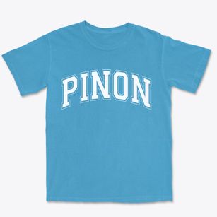 Pinon Arizona Varsity Premium Heavyweight T-shirt
