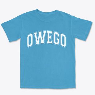 Owego New York Varsity Premium Heavyweight T-shirt