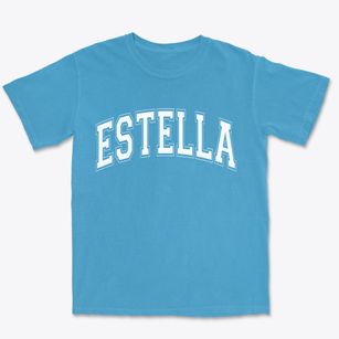 Estella Wisconsin Varsity Premium Heavyweight T-shirt
