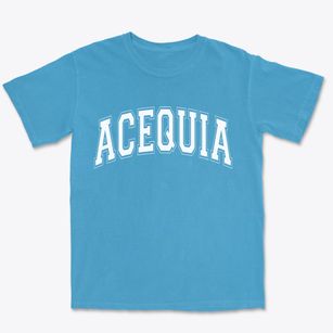 Acequia Idaho Varsity Premium Heavyweight T-shirt