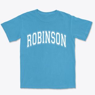 Robinson Illinois Varsity Premium Heavyweight T-shirt