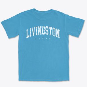 Livingston Texas Urban Vibe Premium Heavyweight T-shirt