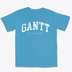Gantt Alabama Urban Vibe Premium Heavyweight T-shirt