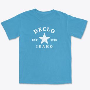 Declo Idaho Star Premium Heavyweight T-shirt