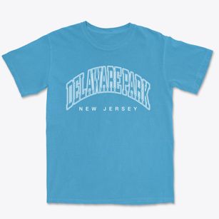 Delaware Park New Jersey Inline Premium Heavyweight T-shirt