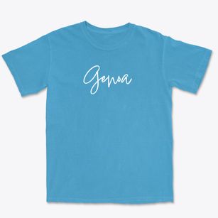 Genoa Nevada Freestyle Premium Heavyweight T-shirt