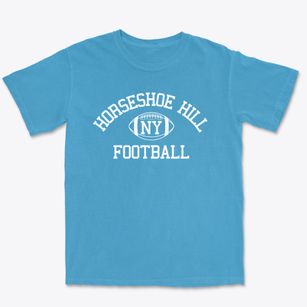 Horseshoe Hill New York Football Premium Heavyweight T-shirt