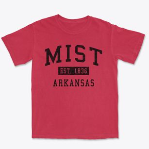 Mist Arkansas Classic Established Premium Heavyweight T-shirt