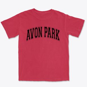 Avon Park High School Varsity Arch Premium Heavyweight T-shirt