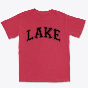 Lake Elementary School Varsity Arch Premium Heavyweight T-shirt