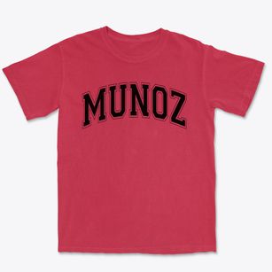 Ps 83 Munoz Luis Rivera Varsity Arch Premium Heavyweight T-shirt