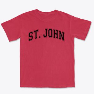 Saint John The Apostle School Varsity Arch Premium Heavyweight T-shirt