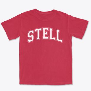 Stell Middle School Varsity Arch Premium Heavyweight T-shirt