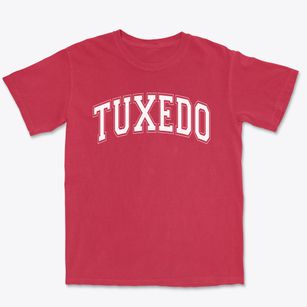 Tuxedo Elementary School Varsity Arch Premium Heavyweight T-shirt