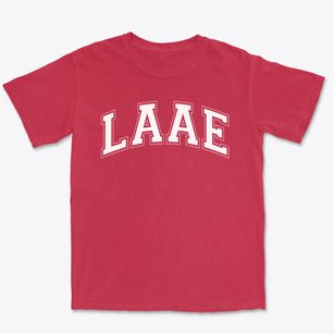 Los Angeles Academy Of Arts & Enterprise Varsity Arch Premium Heavyweight T-shirt