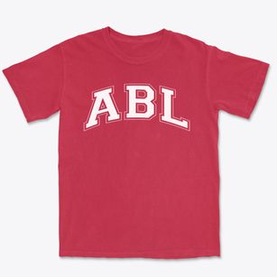 Academy Of Basic Learning Varsity Arch Premium Heavyweight T-shirt