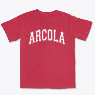 Arcola Elementary School Varsity Arch Premium Heavyweight T-shirt