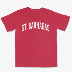 Saint Barnabas School Varsity Arch Premium Heavyweight T-shirt