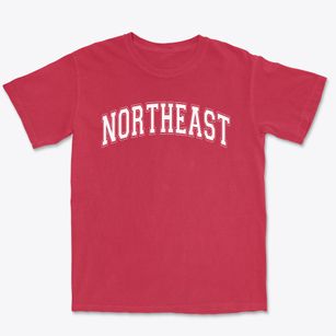Northeast Elementary School Varsity Arch Premium Heavyweight T-shirt