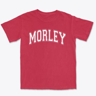 Morley Elementary School Varsity Arch Premium Heavyweight T-shirt