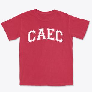 Columbus Africentric Early College Varsity Arch Premium Heavyweight T-shirt