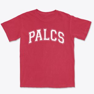 Pa Leaderhip Charter School Varsity Arch Premium Heavyweight T-shirt