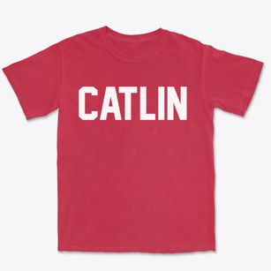 Catlin Illinois Classic Block Premium Heavyweight T-shirt