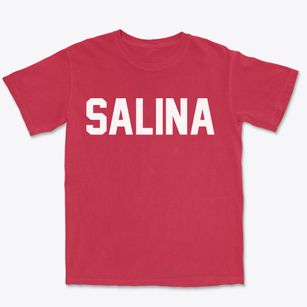 Salina New York Classic Block Premium Heavyweight T-shirt