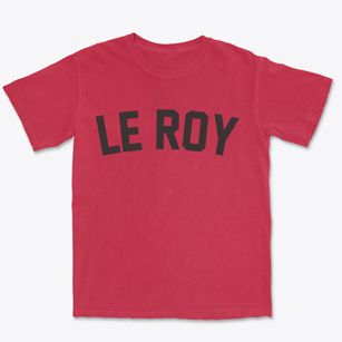 Le Roy Illinois Classic Curve Premium Heavyweight T-shirt