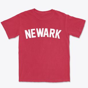 Newark Delaware Classic Curve Premium Heavyweight T-shirt