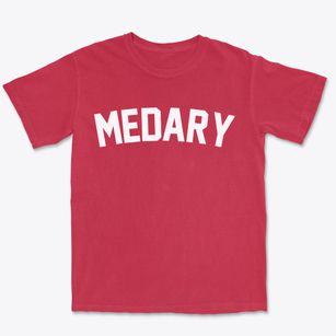 Medary Wisconsin Classic Curve Premium Heavyweight T-shirt