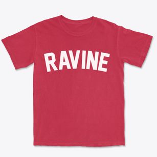 Ravine Pennsylvania Classic Curve Premium Heavyweight T-shirt