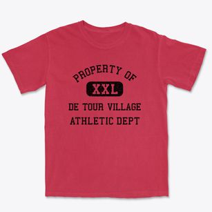 De Tour Village Michigan Athletic Dept Premium Heavyweight T-shirt