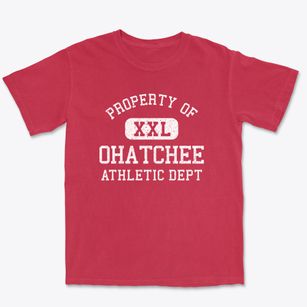 Ohatchee Alabama Athletic Dept Premium Heavyweight T-shirt