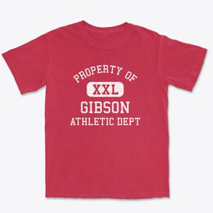 Gibson Georgia Athletic Dept Premium Heavyweight T-shirt