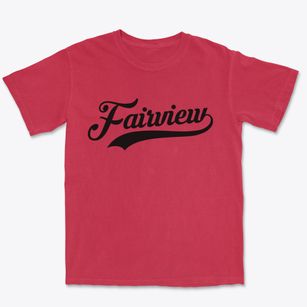 Fairview North Carolina Vintage Team Premium Heavyweight T-shirt