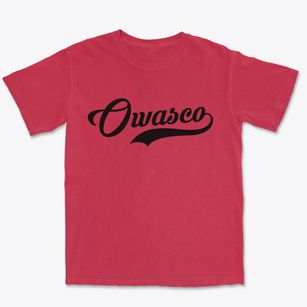 Owasco New York Vintage Team Premium Heavyweight T-shirt