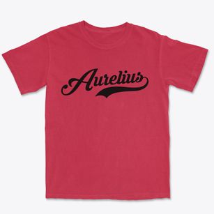 Aurelius New York Vintage Team Premium Heavyweight T-shirt