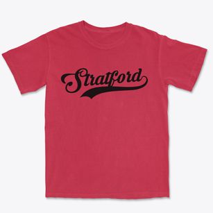 Stratford New Hampshire Vintage Team Premium Heavyweight T-shirt