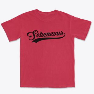 Schenevus New York Vintage Team Premium Heavyweight T-shirt