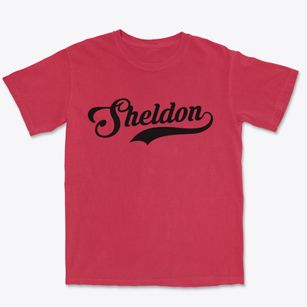 Sheldon Missouri Vintage Team Premium Heavyweight T-shirt