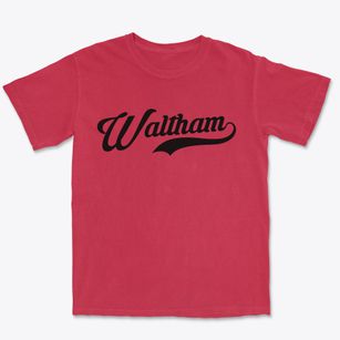 Waltham Minnesota Vintage Team Premium Heavyweight T-shirt