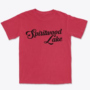 Spiritwood Lake North Dakota Vintage Team Premium Heavyweight T-shirt