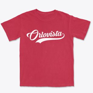 Orlovista Florida Vintage Team Premium Heavyweight T-shirt