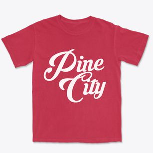 Pine City Minnesota Vintage Team Premium Heavyweight T-shirt