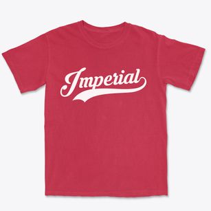 Imperial Pennsylvania Vintage Team Premium Heavyweight T-shirt
