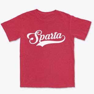 Sparta New York Vintage Team Premium Heavyweight T-shirt