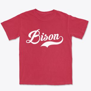 Bison South Dakota Vintage Team Premium Heavyweight T-shirt